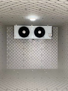 <span class=keywords><strong>ตู้</strong></span>แช่แข็งสำเร็จรูปสำหรับเก็บอาหารทะเล ผลไม้ และผัก พร้อมติดตั้ง <span class=keywords><strong>2</strong></span> <span class=keywords><strong>ประตู</strong></span> ขนาดปรับแต่งได้ คุณภาพสูง - Product Image 6