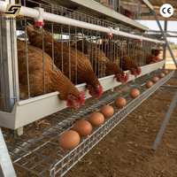 Cages de batterie pour poules pondeuses et poulets de chair, pour l'élevage et la production d'œufs