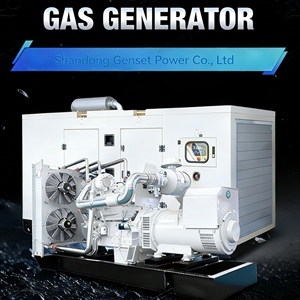 טורבינת אוויר חם לייצור גז ביולוגי, גז סינתטי וגז טבעי, מבוססת ביומסה קטנה, עם התנעה חשמלית בזרם ישר, להפקת חשמל, 500 קילוואט, 400 קילוואט, 300 קילוואט, 250 קילוואט. - Product Image 2