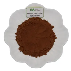 Youth Manufacturer Water Soluble Rhodiola Rosea Powder Extract