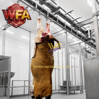 Équipement d'abattage de bovins halal, machinerie complète de transformation de la viande, système d'aménagement d'abattoir, installation d'usine