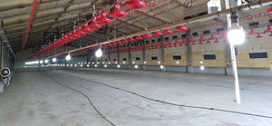 Driver d'éclairage avicole dimmable 360W sans scintillement, étanche IP67 avec tension de sortie 48V, double sortie AC/DC pour fermes - Product Image 6