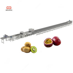 Máquina Clasificadora <span class=keywords><strong>de</strong></span> Peso para Zanahorias Bebé, Equipo <span class=keywords><strong>de</strong></span> Encerado y Clasificación <span class=keywords><strong>de</strong></span> Manzanas, Clasificación para Naranjas en Frigorífico - Product Image 2