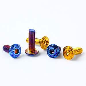 Pièces détachées pour moto, accessoires de modification CNC, vis hexagonales externes traitées à la flamme bleu/titane M6 M10. - Product Image 4