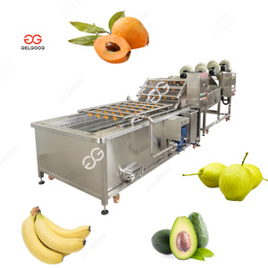 <b>Fruit</b> and <b>Vegetable</b> Washing Grading <b>Machine</b> with x-ray Detection Systems Electrical Batch <b>Fruit</b> Washing <b>Machine</b> - Product Image 2
