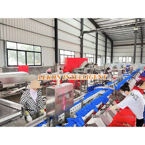 Khay quay Loại gia cầm giết mổ máy chân gà trọng lượng phân loại máy phân loại - Product Image 5