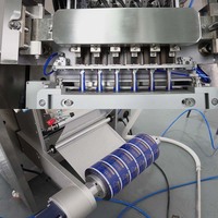 Machine d'emballage automatique à plusieurs voies pour poudre de bâton de gomme arabe Machine d'emballage de remplissage pour sachet de poudre de collagène de vitamine