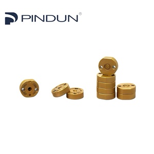 PINDUN pour injecteur Denso, plaque de soupape dorée 02 #   04 #   06 #   07 #   19 #   23 #   <span class=keywords><strong>28</strong></span> #   29 #   Plaque à orifices dorée série G2 G3 - Product Image 1