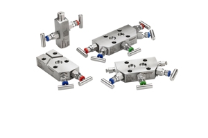 EN STOCK Grupo de Dos Válvulas de Acero Inoxidable Original 304 316L, Grupo de Dos Válvulas Integrado de Acero Inoxidable, Colector de Dos Válvulas - Product Image 6