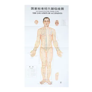 Gráficos de acupuntura médica china puntos Cuerpo Humano acupuntura mapa meridiano