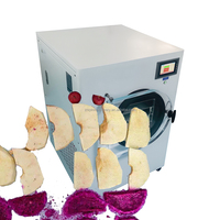 Sus304 Vriesdroger Voedsel Dehydrator Apparatuur Vacuüm Vriesdrogen Verwerking Voor Snacks Groente Slice Droogmachine