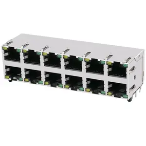 Prises RJ 45 industrielles multi-ports avec connecteurs magnétiques RJ-45 intégrés 2X6 ARJM26A1-547-AB-EW2