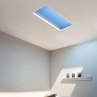 Led Smart Blue Skylights Lumière artificielle du soleil Panneau lumineux Simple Éclairage moderne Personnalité Plafonnier Lumière artificielle du soleil