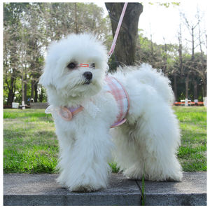 Harnais pour chien Teddy Kirky de petite et moyenne taille pour l'extérieur avec étiquette personnalisée - Product Image 6