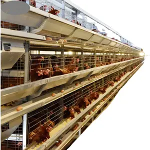 High quality battery laying hens cages for sale