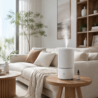 Humidificateur à ultrasons 3L à brume froide, diffuseur d'arômes avec veilleuse LED, deux modes de brume et arrêt automatique pour chambre, maison, bureau