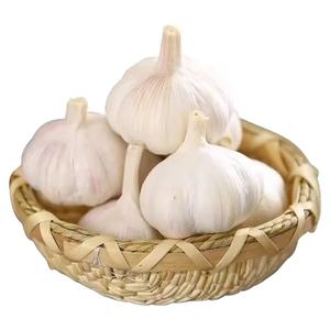 Pemasok bawang putih di Cina kelas atas pabrik 100% bawang putih segar organik dengan harga grosir rendah - Product Image 5