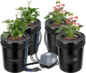 DWC Hydroponic System 5 Gallon 4 Buckets Deep Water Culture Growing Bucket Hydroponics Grow Kit With Pump Air Stone