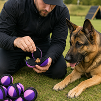 Balle de reniflement pour chien, jouet distributeur de friandises, puzzle à 3 pétales en forme de lotus, pour l'entraînement K9 et la distribution lente de nourriture, balle de récompense