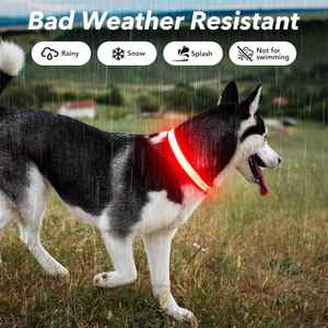 China Wholesale Customized Led Light up Dog <b>Collar</b> Pet Accessories Rechargeable Waterproof Dog Led <b>Collar</b> - Product Image 4