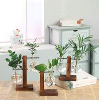 Support moderne en bois massif verre Transparent écologique jardinière ampoule Vase bureau Terrarium maison jardin bureau décor