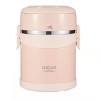 Boîte à déjeuner en acier inoxydable, Double face, qualité alimentaire PP, conteneur alimentaire étanche, boîte à déjeuner en acier inoxydable, Pot d'isolation thermique, Pot alimentaire