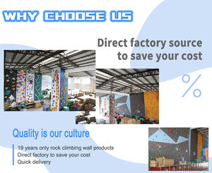 Pilihan kualitas terbaik Anda PROYEK BARU konstruksi kokoh dinding panjat tebing luar ruangan - Product Image 4