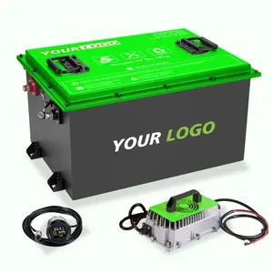 Lifepo4 Golf Cart Battery 48v Lifepo4 Battery Pack 48v 105ah For Golf Cart