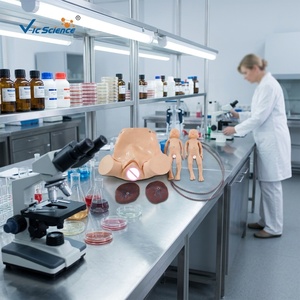 Manichino a grandezza naturale per addestramento all'assistenza all'illuminazione, modello realistico in PVC per simulazione di parto, per l'insegnamento in laboratorio medico, certificato CE/ISO/ROHS/CNAS - Product Image 5