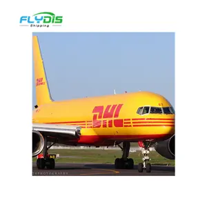 DHL / FEDEX / UPS di porta in porta-a-porta di trasporto dalla Cina al Brasile