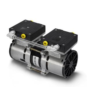 Custom Atacado Laboratório Duplo Cabeças Pequena Alta Bomba De Vácuo 220V AC Elétrica Micro Air Sample Diafragma Bomba De Vácuo - Product Image 1