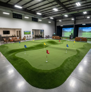Césped Artificial para Golf, Césped Sintético para Putting Green Interior, Simulación Realista de Alta Calidad para Colocación en el Suelo - Product Image 2