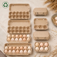 Plateau à œufs en pâte respirante à ventilation améliorée, 2x6, 12 alvéoles, pour l'incubation de volailles, carton à œufs agricole, vente en gros