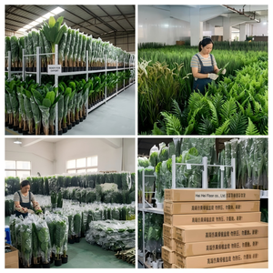 Nouvelle Plante Artificielle Verte Très Vendue : Arbre du Paradis, <span class=keywords><strong>Bananier</strong></span> du Voyageur en Pot, Plante de Mariage en Plastique, Écologique, Durable et Moderne - Product Image 6