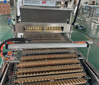 Nouvelle machine de production de sucettes et de brochettes en acier inoxydable pour fruits confits à l'aubépine