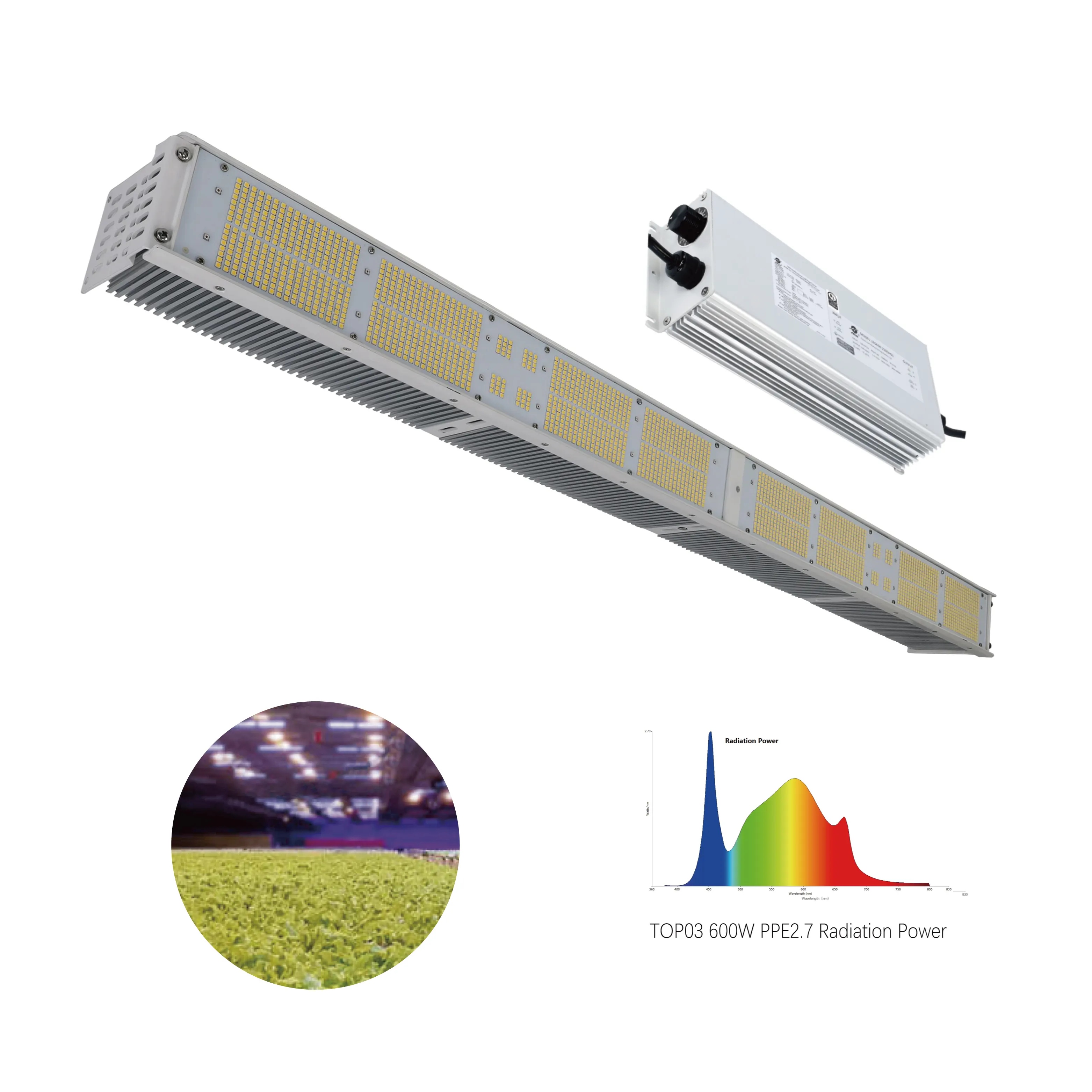 Best Seller Led Grow Light 600w 300w High Quality Greenhouse Indoor Grow Lamp Strip