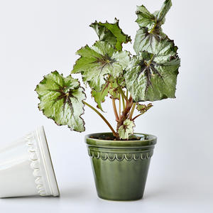 Maceta Pequeña de Cerámica Transpirable y Duradera de 4.7 Pulgadas, Estilo Romano Imperial, para Plantas Verdes, Orquídeas, Suculentas, Decoración de Escritorio - Product Image 1