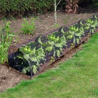 Serre à tunnel à cerceau bas pour l'extension de la saison et le jardin d'hiver Propagateur de croissance longue serre en poly polaire