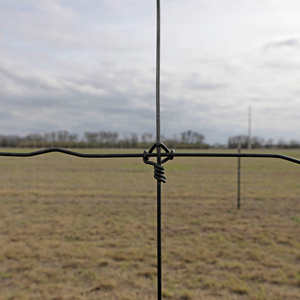 Grillage tissé galvanisé électrique revêtu de PVC pour élevage de bétail, clôture pour cerfs et vaches, treillis et portails - Anti-rongeurs - Product Image 5