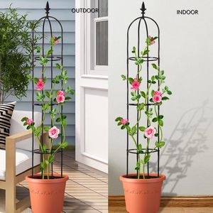 Fabriqué en usine plante fleur croissance escalade Cage arqué fleur support bonsaï plante escalade cadre de Support pour jardin - Product Image 1