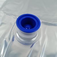 Vente flash : Sac aseptique en PE de 20 L avec robinet et épaisseur personnalisée pour sauce tomate, pulpe de tamarin, impression en gravure