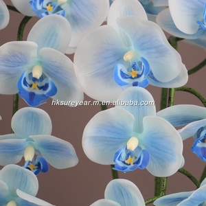 กล้วยไม้ฟาแลนนอปซิสสีน้ำเงินสัมผัสเหมือนจริง ดอกไม้ประดิษฐ์พิมพ์ 3 มิติจากยางลาเท็กซ์ สำหรับตกแต่งบ้าน งานแต่งงาน ขายส่ง - Product Image 3