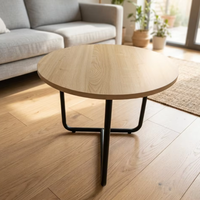 Ensemble de table basse ronde en bois moderne, écologique et durable de haute qualité pour salon, maison, chambre à coucher