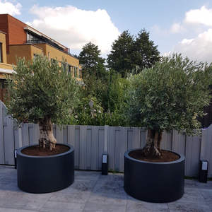 Круглый уличный Ландшафтный зеленый большой горшок для растений, уличные горшки для деревьев, большой цветочный горшок для отеля - Product Image 6