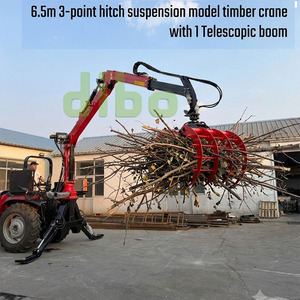 Grue forestière DIBO CE pour tracteur, suspension à 3 points, levage hydraulique de 6,5 m, grue à bois robuste - Product Image 6