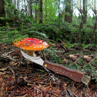 Couteau pliant de camping et d'alpinisme, couteau champignon pliant avec manche en bois, couteau de chasse pliant pour extérieur avec brosse