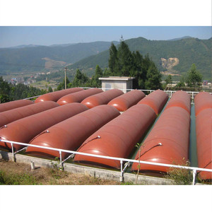 Digesteur de biogaz en PVC flexible de grande taille personnalisable, sac de stockage, réservoir - Product Image 4