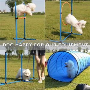 Gran oferta, juego de entrenamiento de agilidad <span class=keywords><strong>para</strong></span> <span class=keywords><strong>perros</strong></span>, carrera de obstáculos <span class=keywords><strong>para</strong></span> <span class=keywords><strong>perros</strong></span>, Kit de inicio de entrenamiento, agilidad exterior, ejercicio <span class=keywords><strong>para</strong></span> <span class=keywords><strong>perros</strong></span> y cachorros - Product Image 4