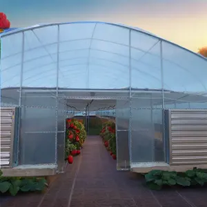 イチゴと農場のための大型の新しい農業温室