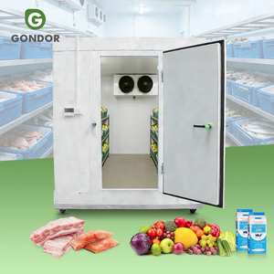 Conteneur frigorifique mobile de 10m, grande capacité, pour stockage d'oignons et de yaourt, avec unité de réfrigération à température négative - Product Image 1